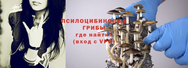 ГАЛЛЮЦИНОГЕННЫЕ ГРИБЫ Сатка