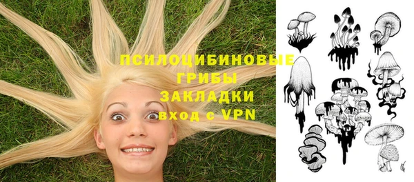 стафф Алексеевка