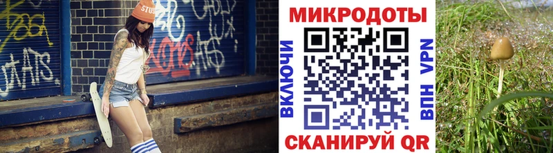 Галлюциногенные грибы GOLDEN TEACHER Ливны