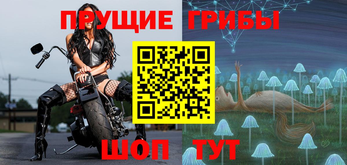 Ливны  Псилоцибиновые грибы Psilocybine cubensis  Вход с VPN  Галлюциногенные грибы Cubensis 