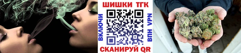 Бошки Шишки планчик Ливны
